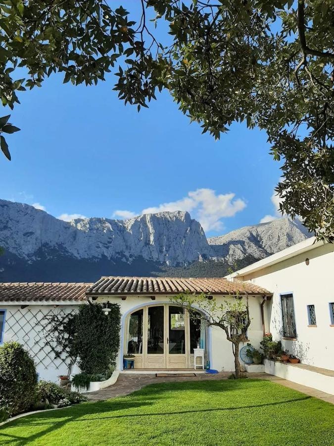 Agriturismo Guthiddai Oliena Zewnętrze zdjęcie