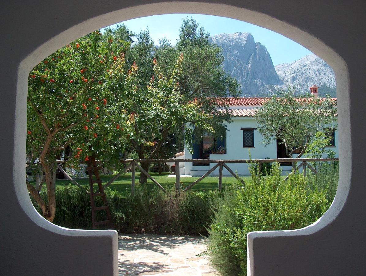 Agriturismo Guthiddai Oliena Zewnętrze zdjęcie