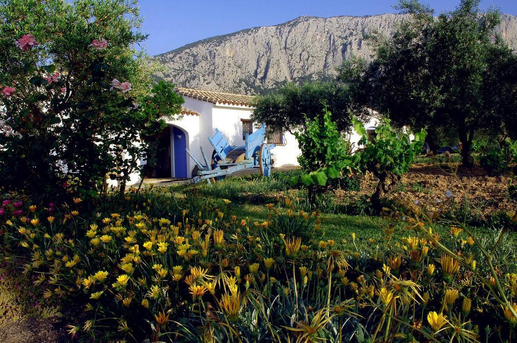 Agriturismo Guthiddai Oliena Zewnętrze zdjęcie